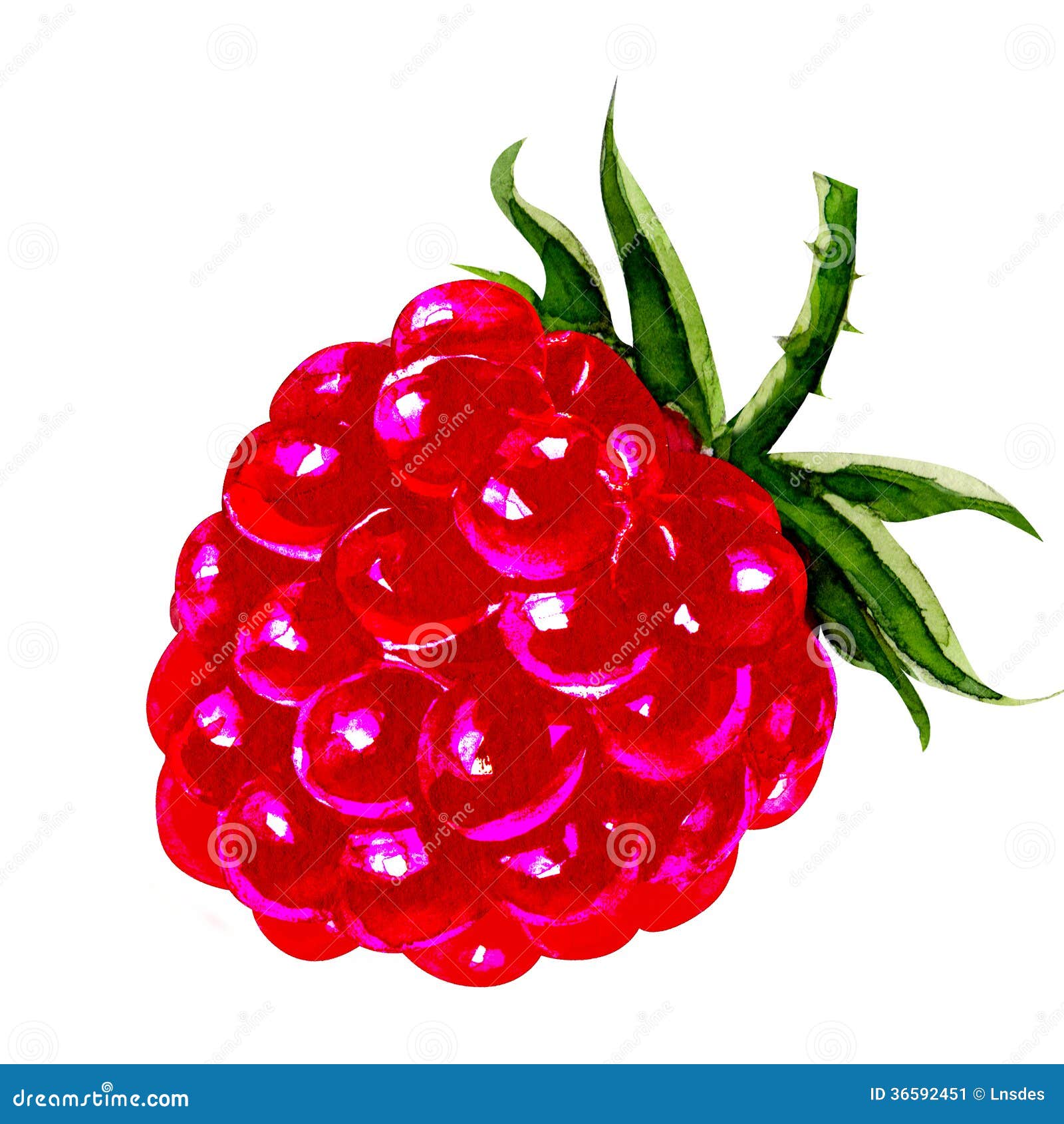 clipart gratuit framboises - photo #18