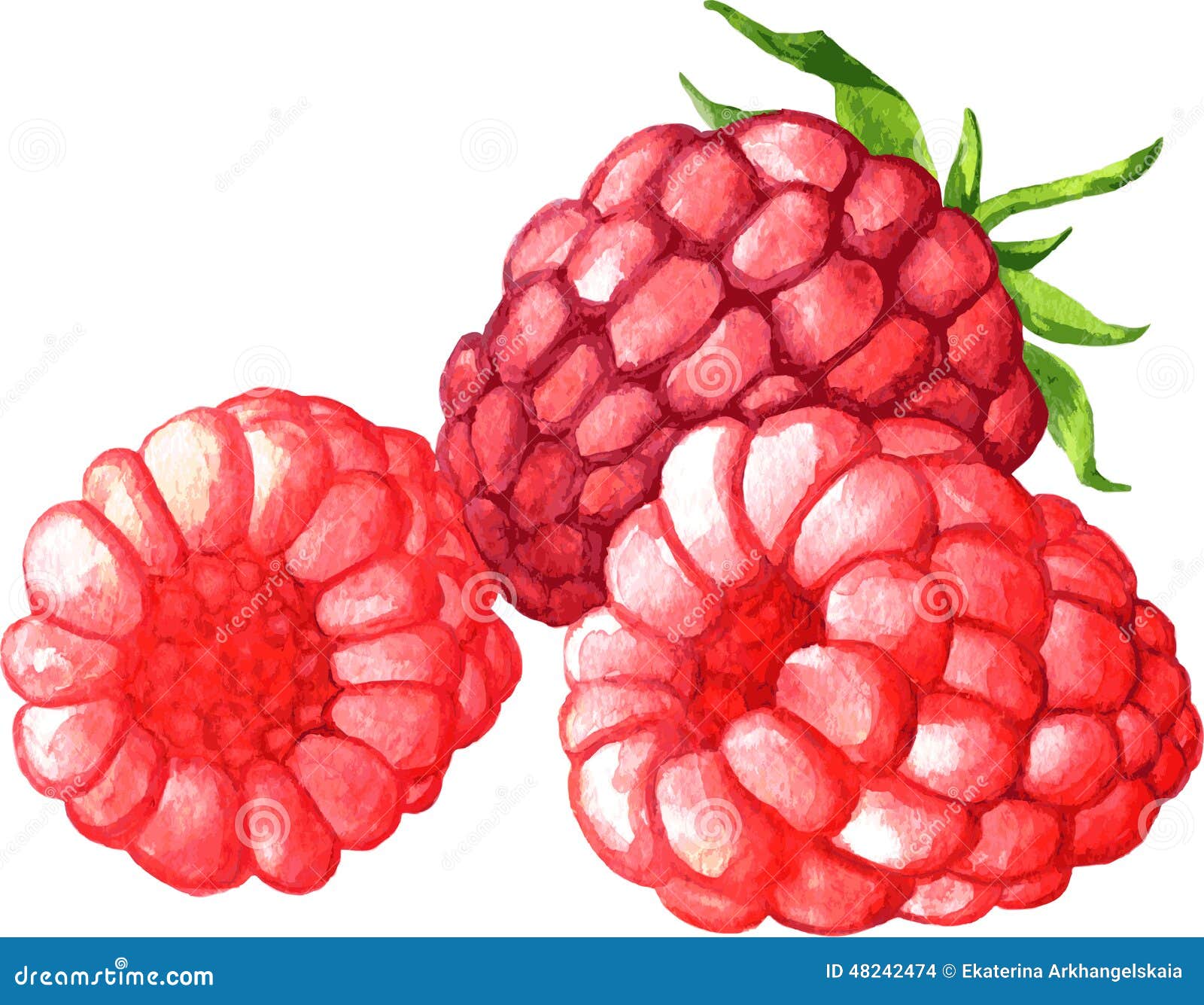 clipart fruits rouges - photo #22