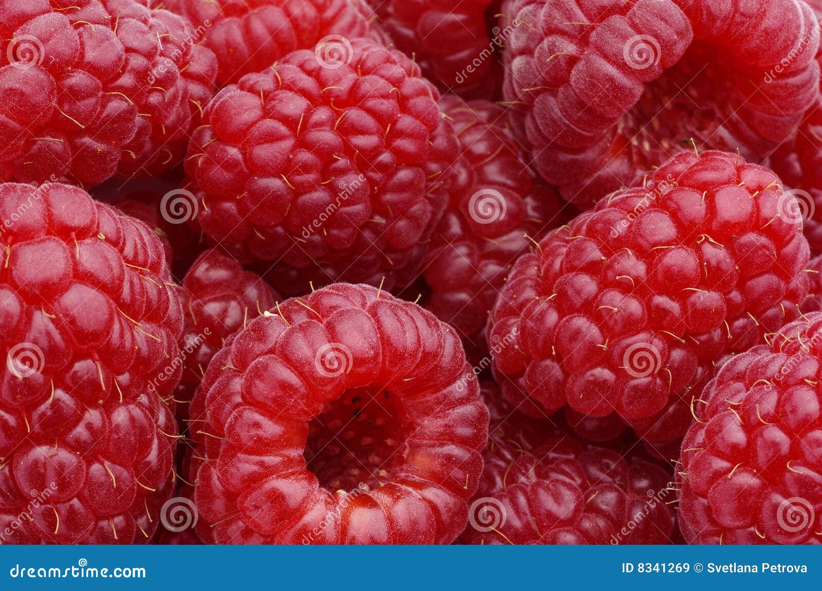 Framboises macro image stock. Image du bourrage, fond 8341269
