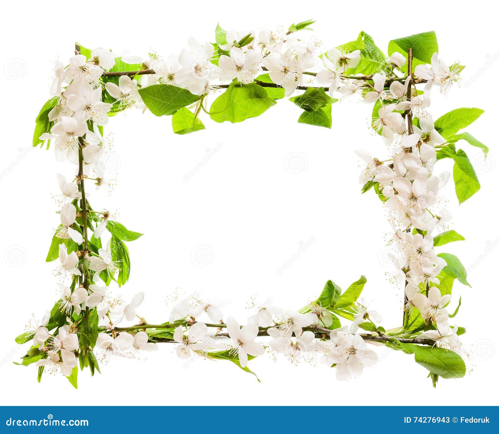 Frame with Blossoming Cherry Branches Stock Image - Image of garden