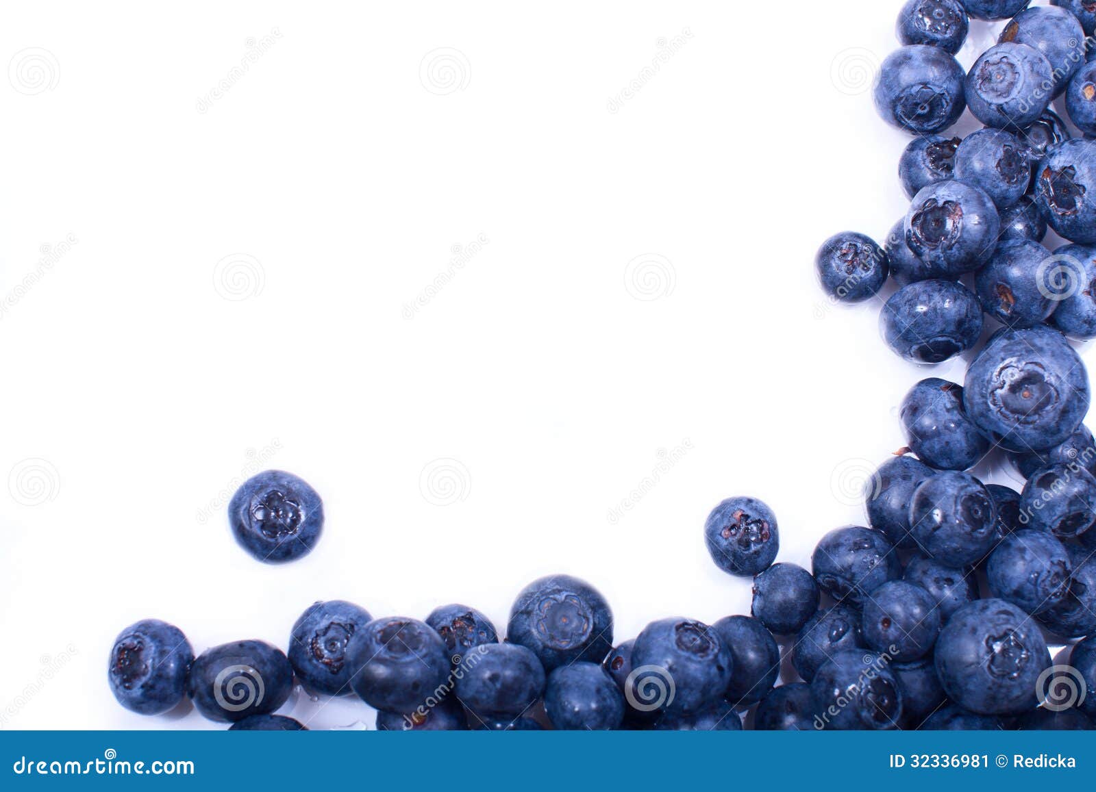 frame blueberries white background ripe water drops space text left 32336981