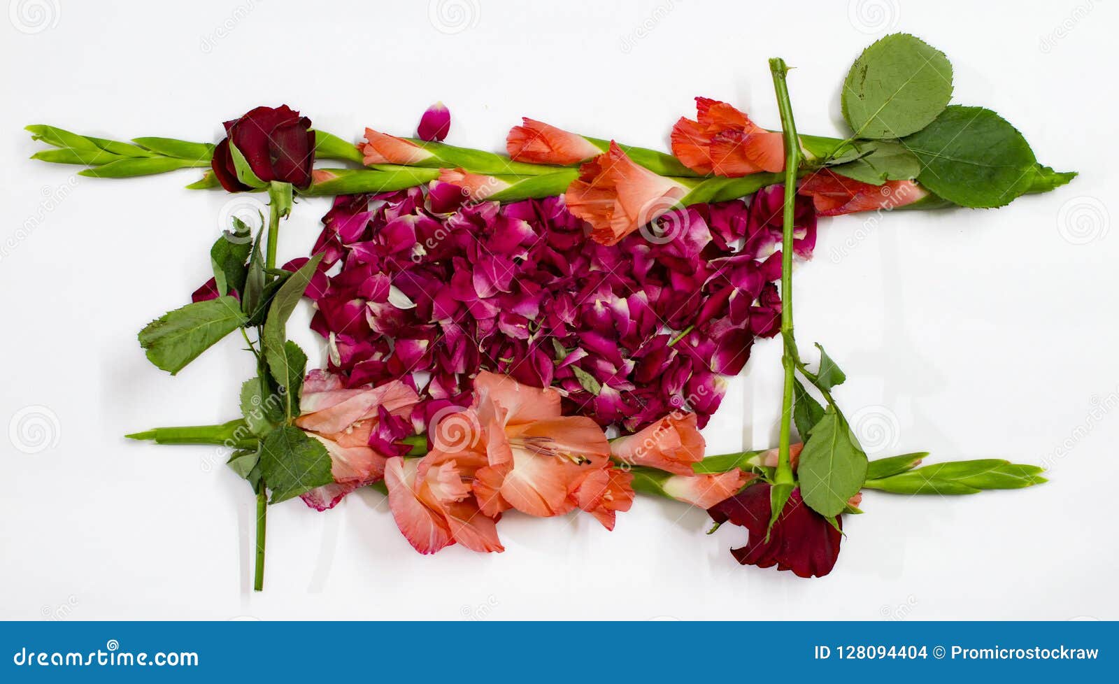 Frame Created by Roses and Gladiolas Stems and Filled by Rose Stock