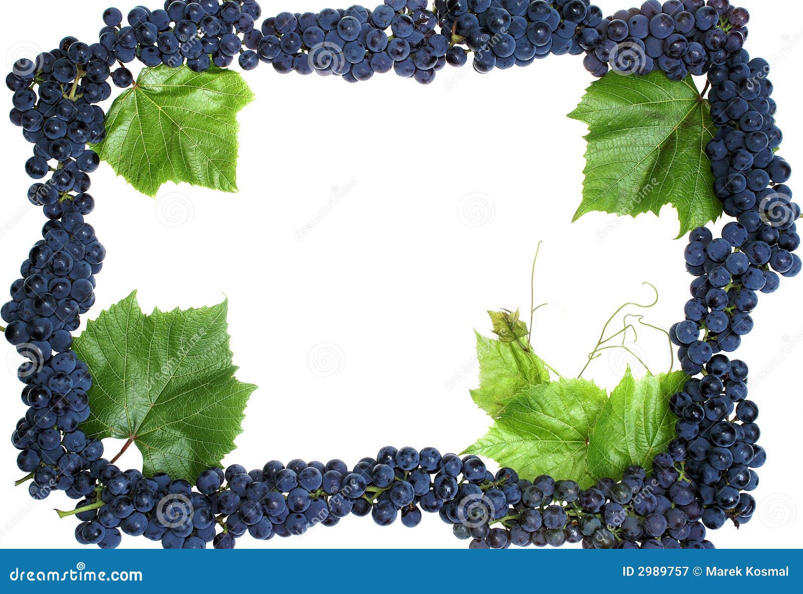 Frame da uva com as folhas isoladas no branco