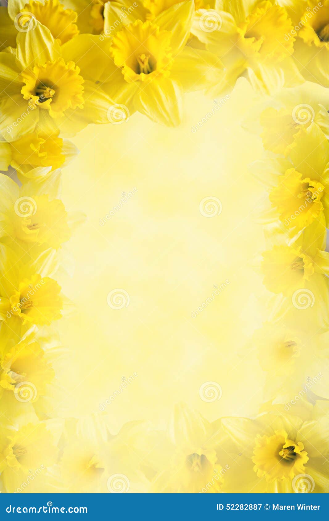 yellow flower background