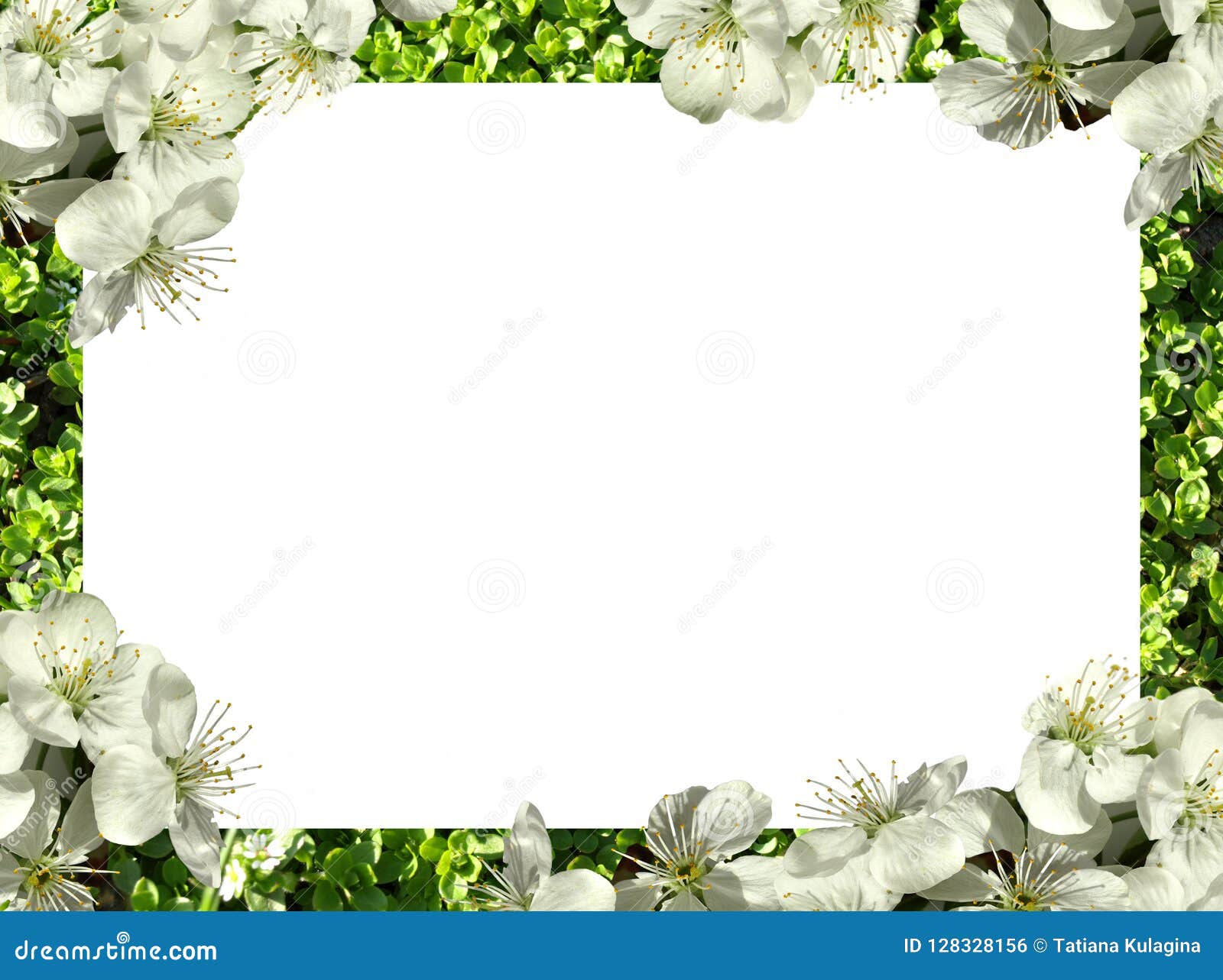 Frame Of Flowers Png Stock Photo Image Of Floral Butterfly