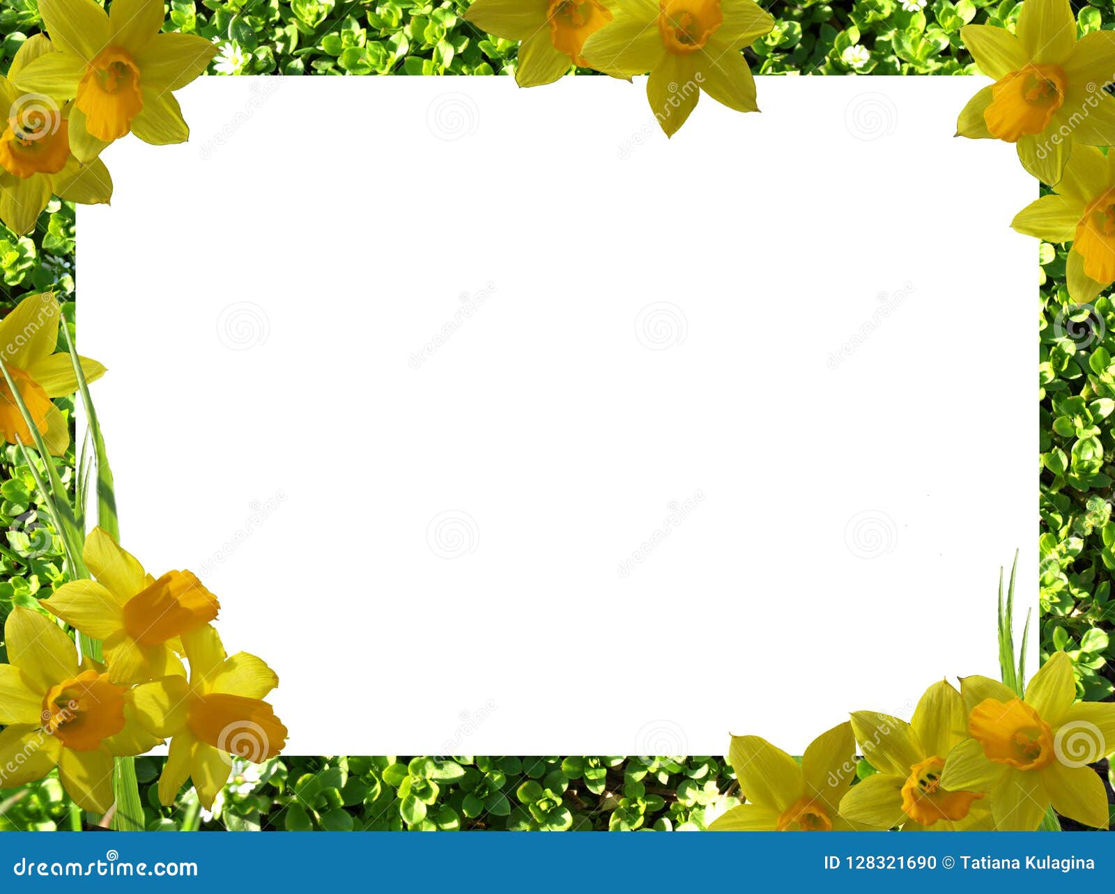 Yellow Flower Png Transparent - Atomussekkai.blogspot.com