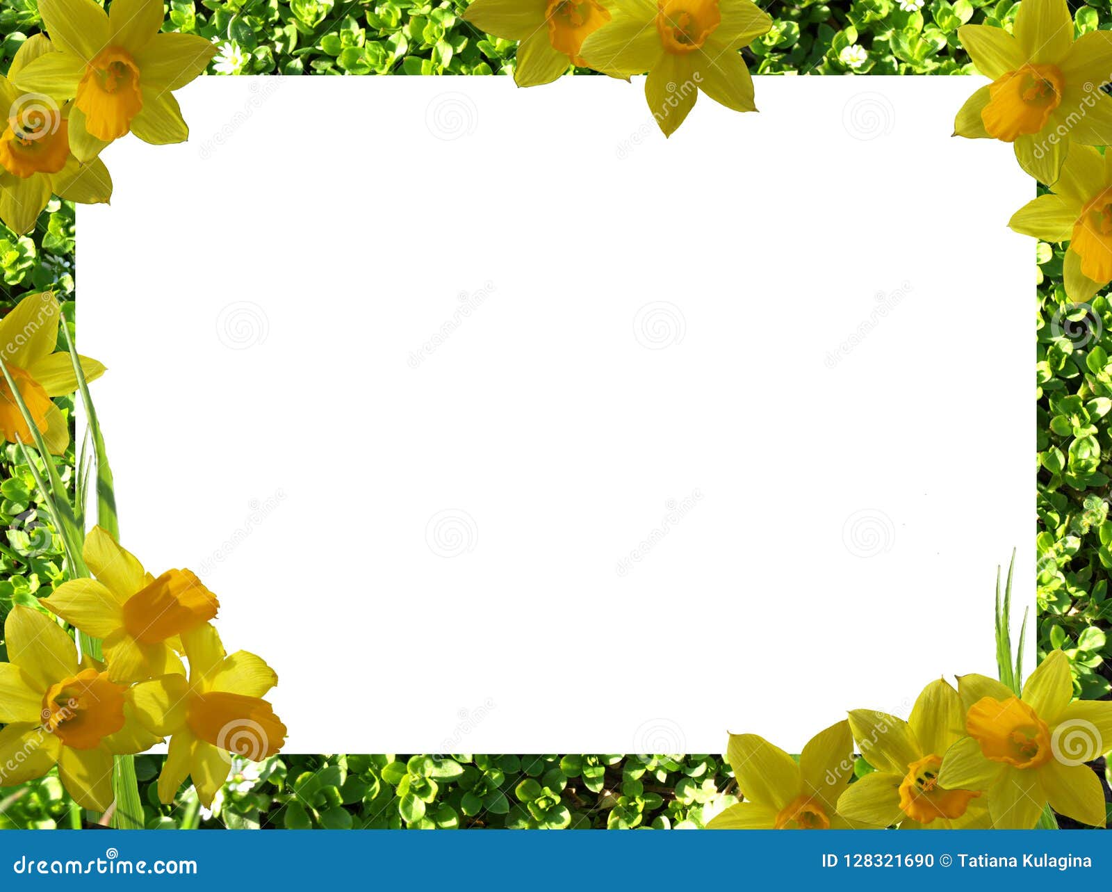 LunaPic Edit GjDrANm  Flower background images, Flower frame, Colorful  stationery