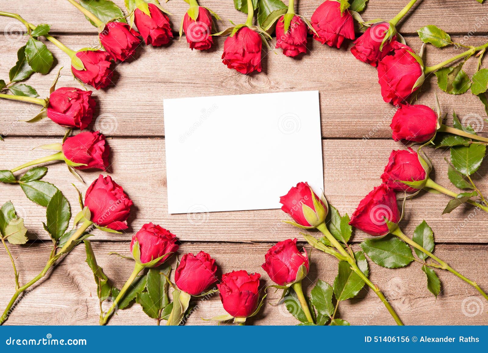 Frame of fresh roses stock photo. Image of frame, message 51406156