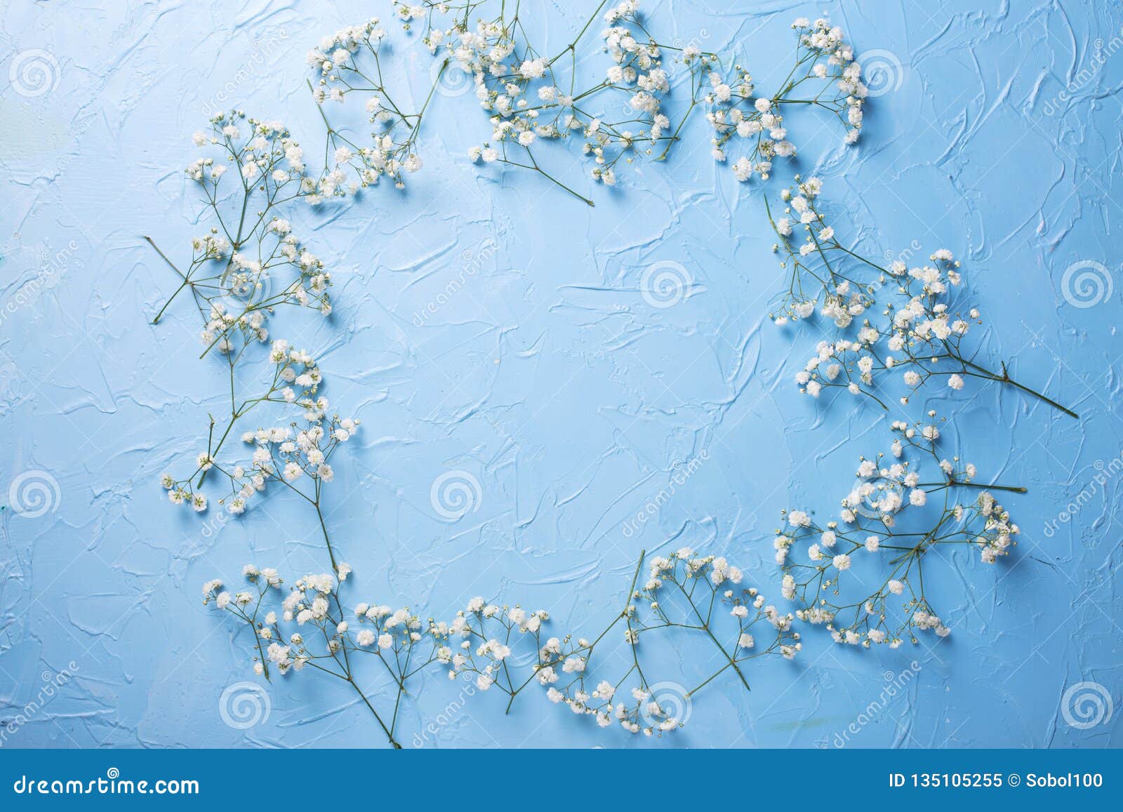 frame from fresh white gypsofila flowers on blue textured background