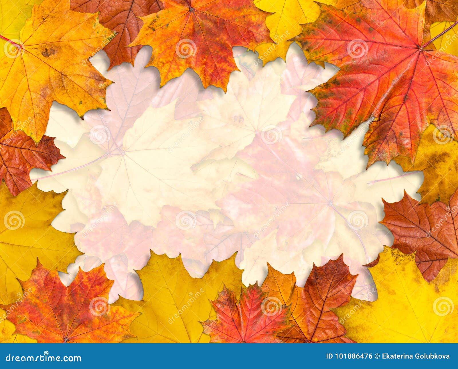 frame made of bright maple leaves. size 4ÃÂ¥3