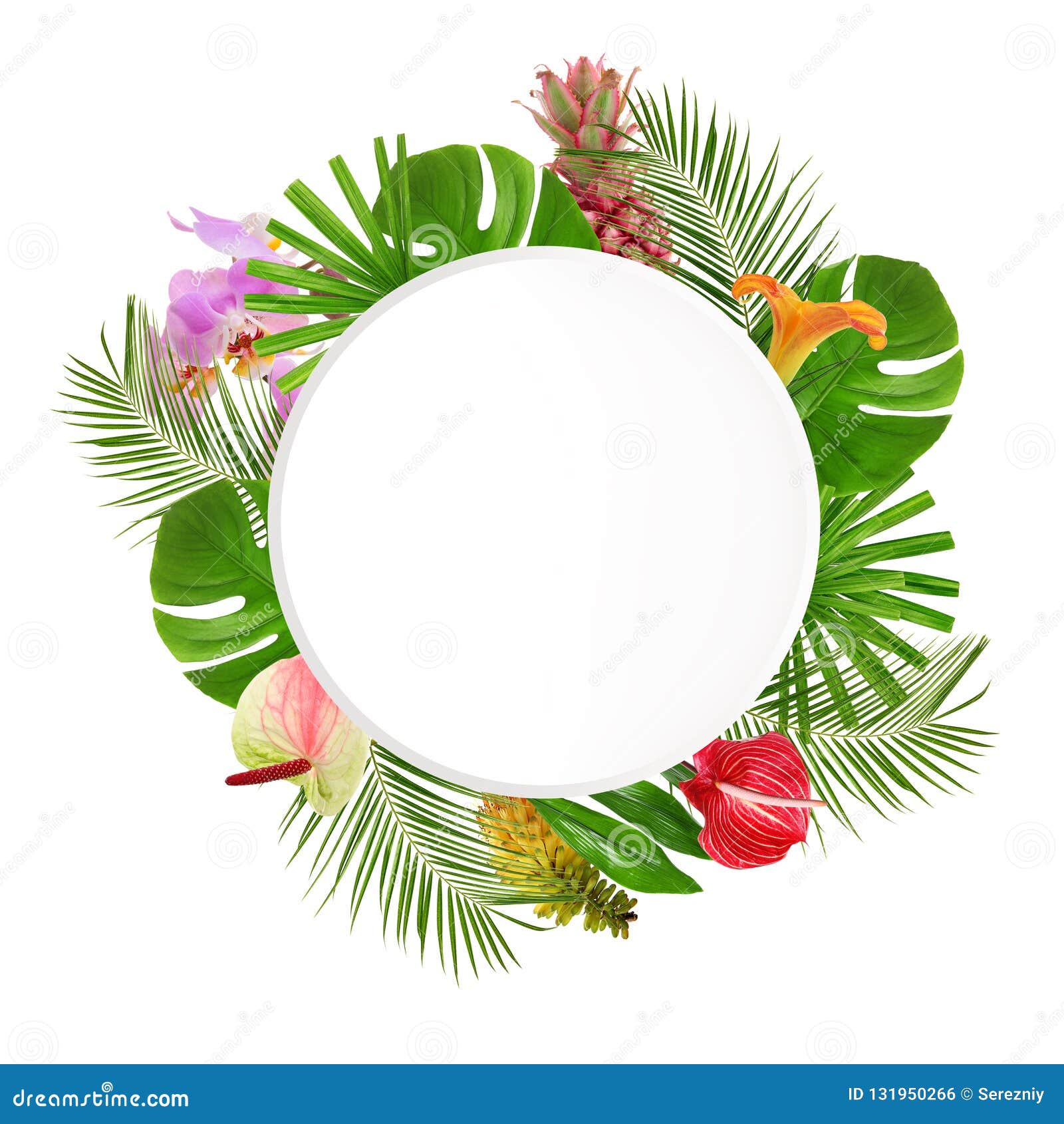 Circle Jungle Leaves Frame Stock Photos - Download 56 Royalty Free Photos