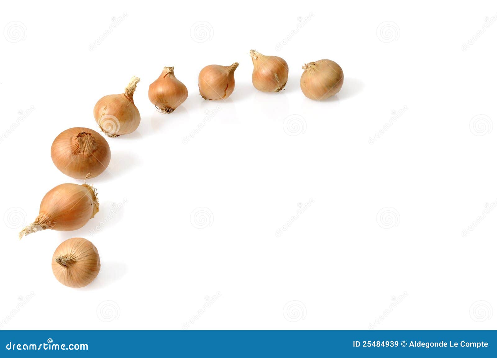Frame of onions stock image. Image of vegetable, ingredient 25484939
