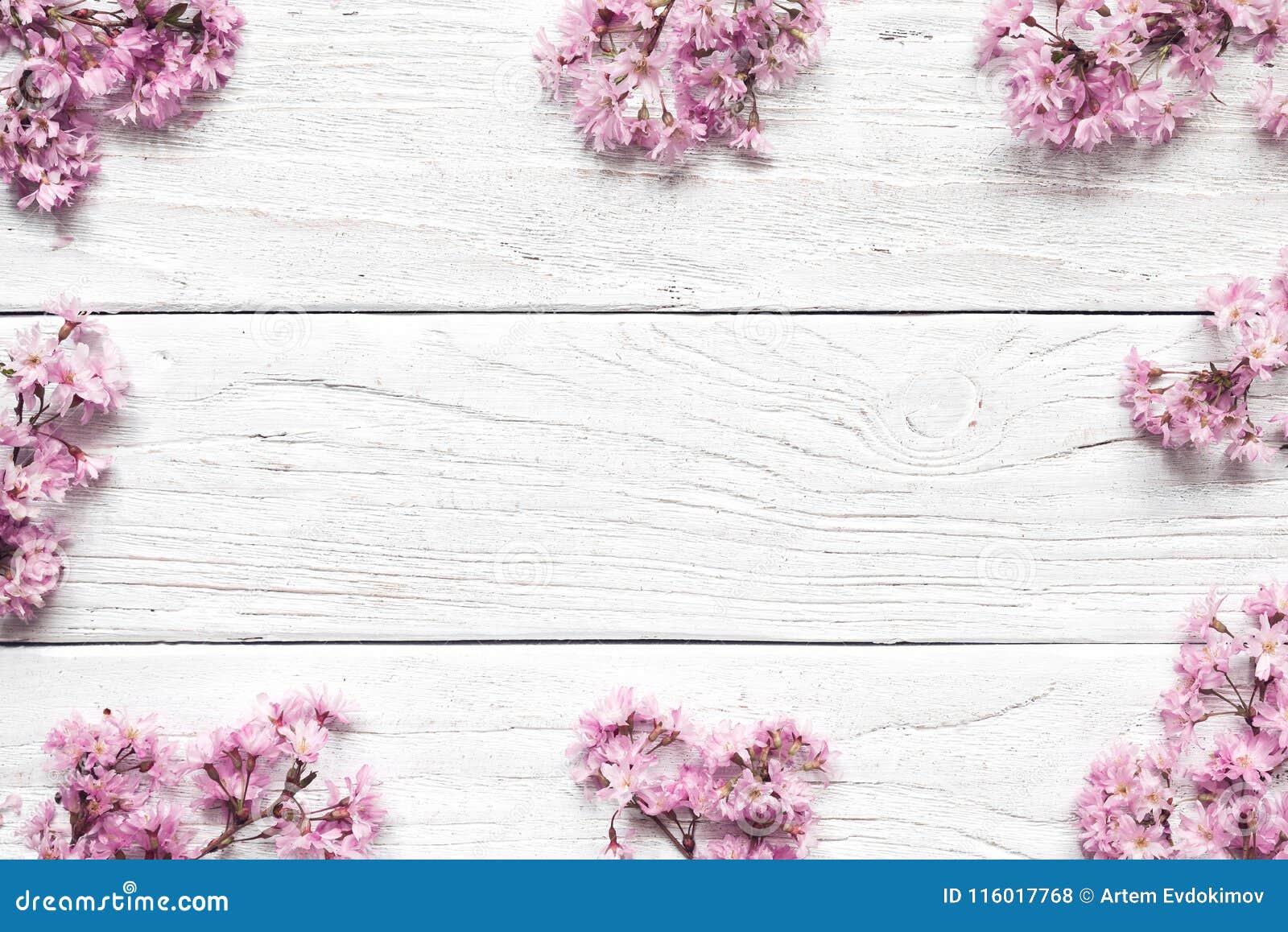 Frame of Pink Cherry Blossom Flowers on White Background with Copy ...