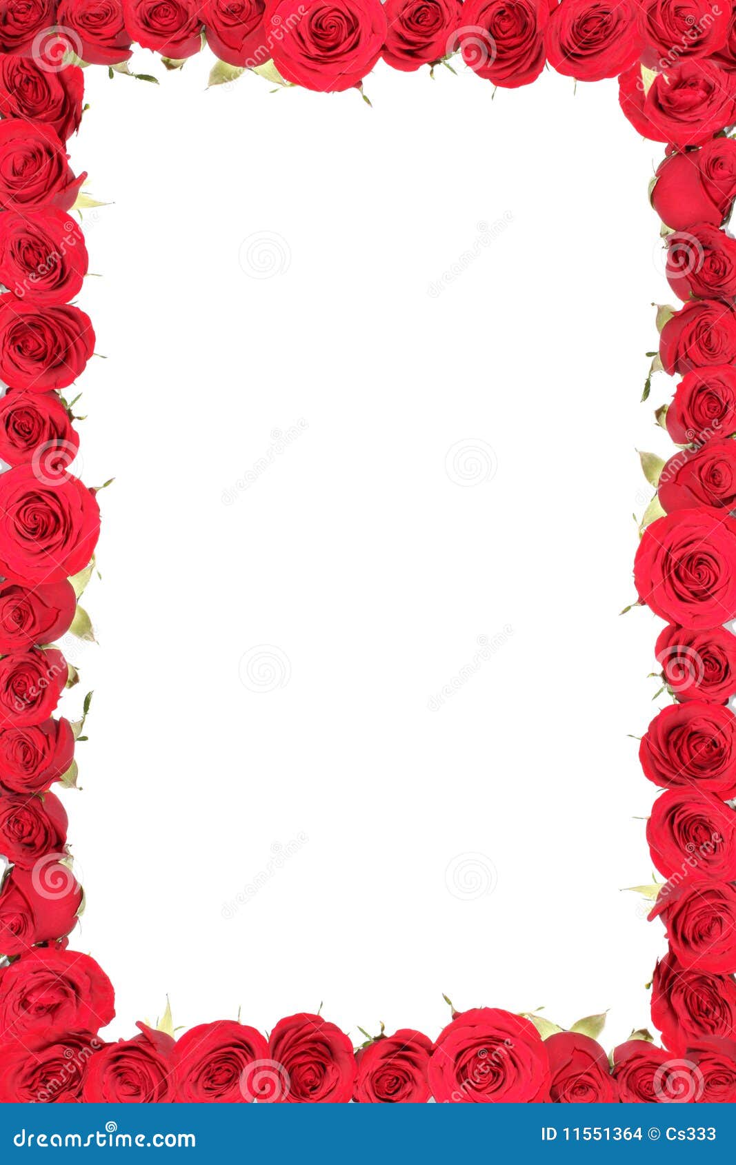 Frame from red roses. stock photo. Image of isolated - 11551364