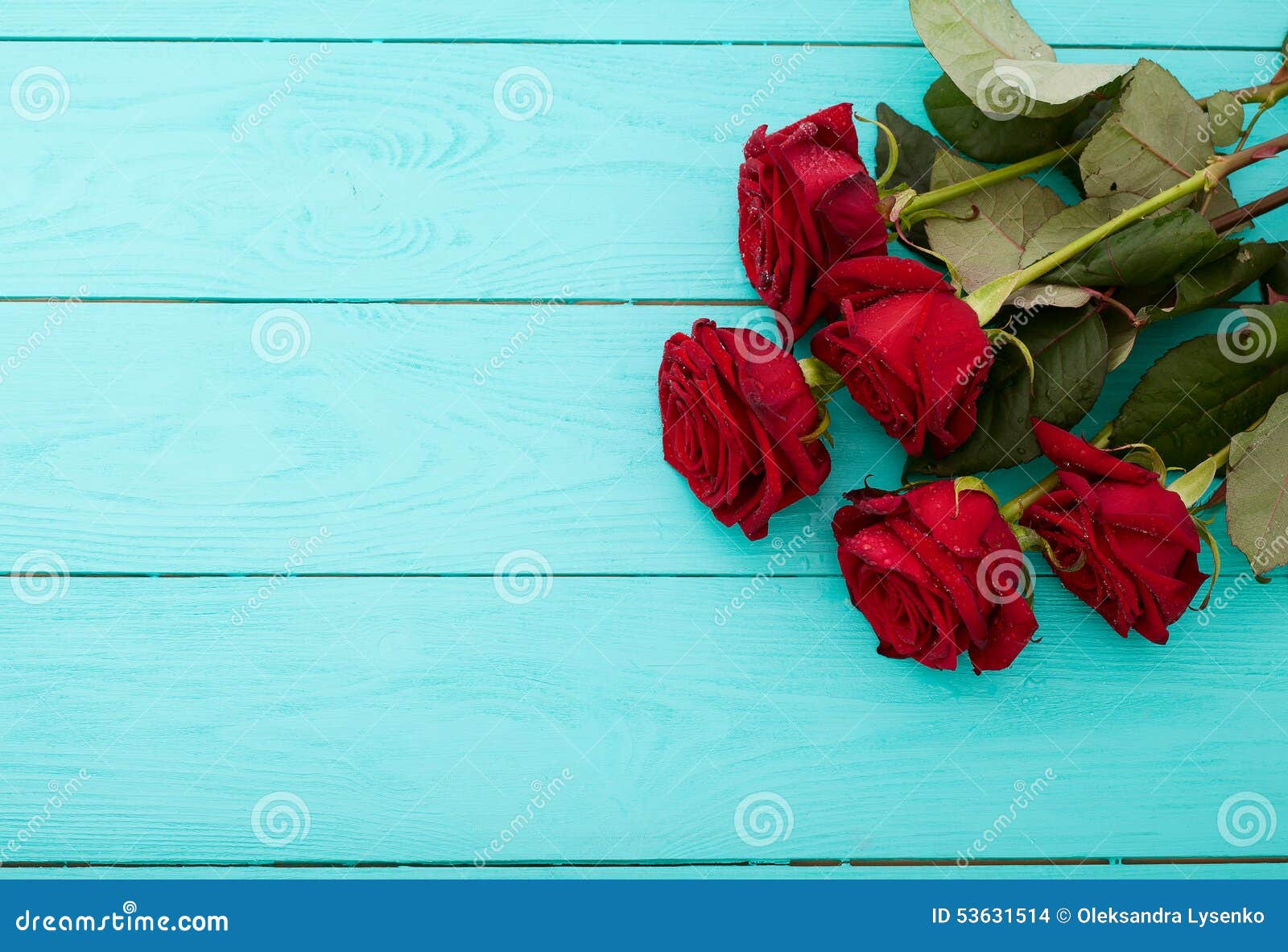 Frame of Red Roses on Blue Wooden Background Stock Photo - Image of ...