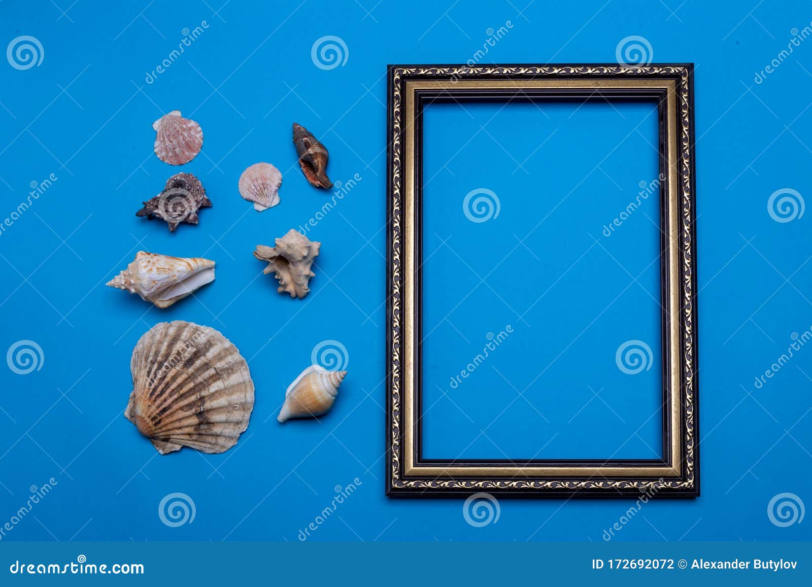 Frame and Shells on a Blue Background. Mock-up Stock Photo - Image of