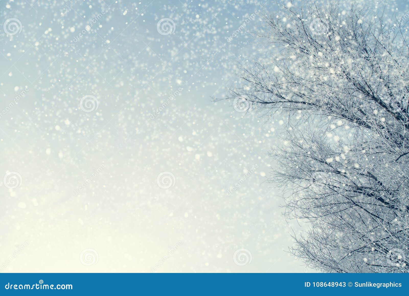 frame of snowy tree branches against blue sky during the snowfall with copy space for text. winter landscape.