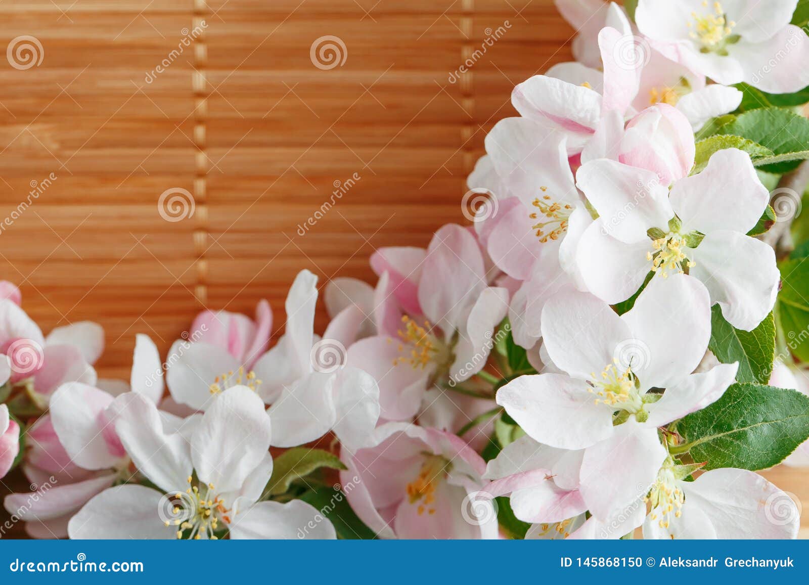 Frame of Spring Flowers of Sakura on Bamboo Background. Beautiful