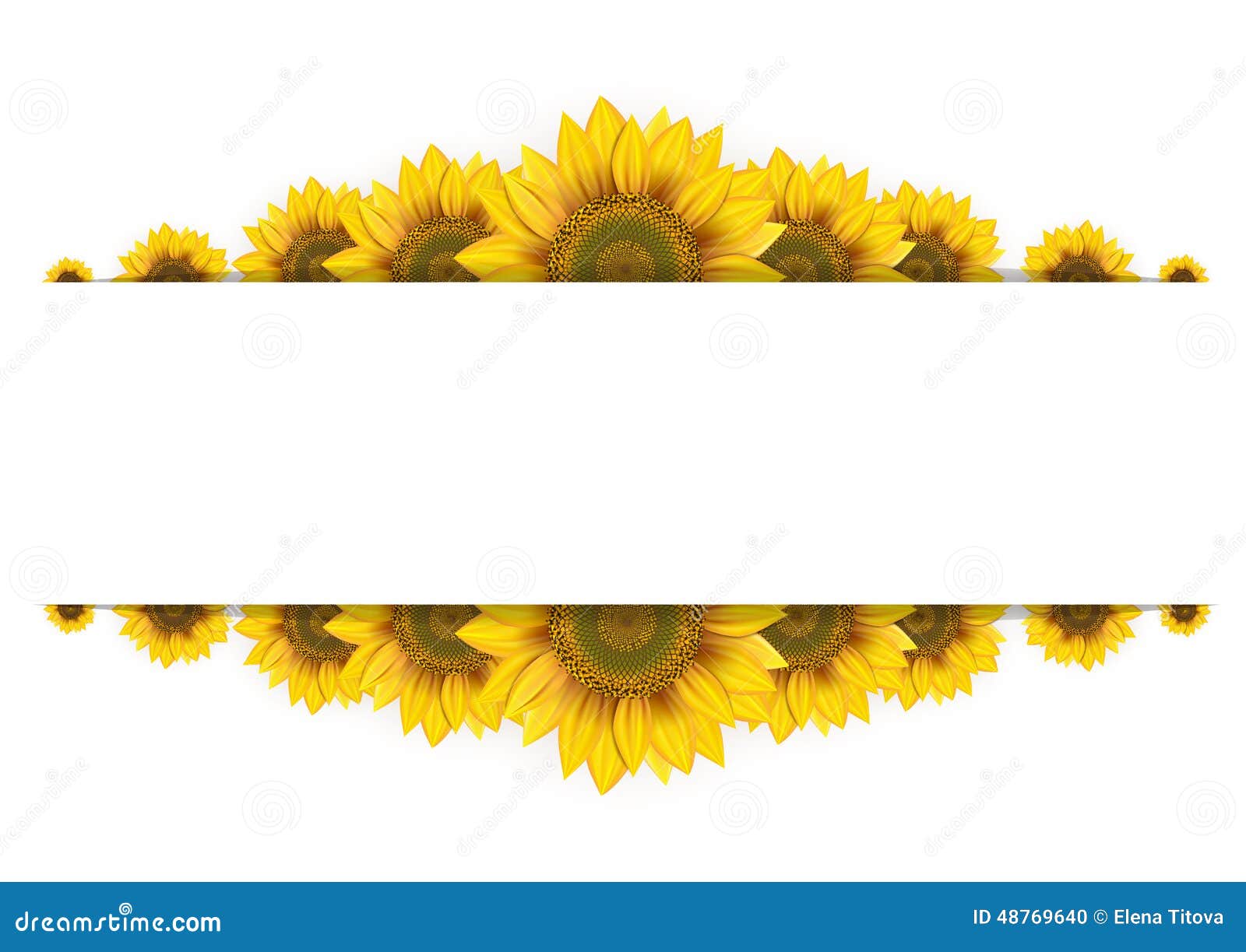 Download Frame Of Sunflowers On A White Background Stock Vector ...