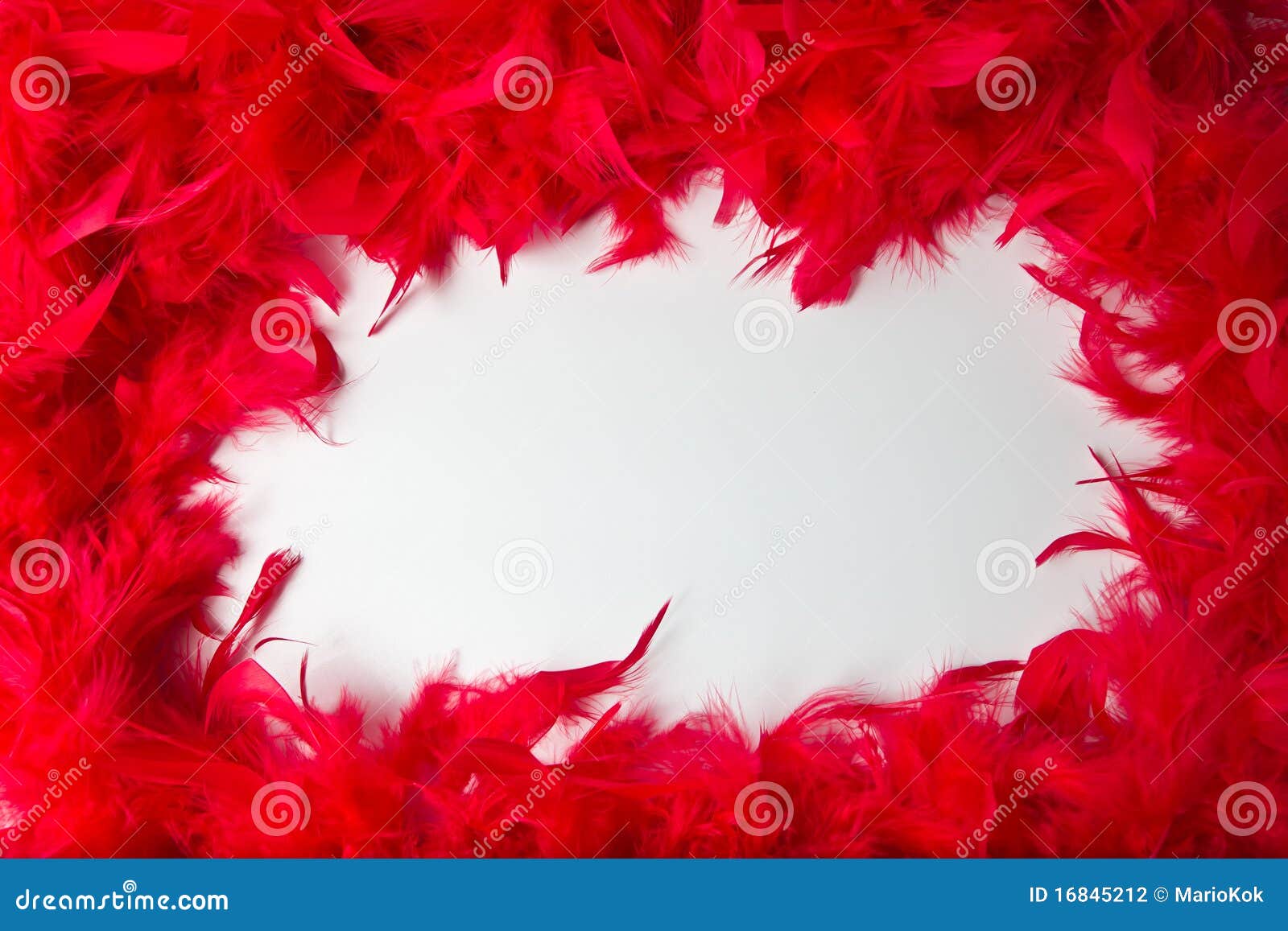 Frame with the Texture and Bright Red Feathers Stock Photo - Image of  lifestyles, backgrounds: 16845212