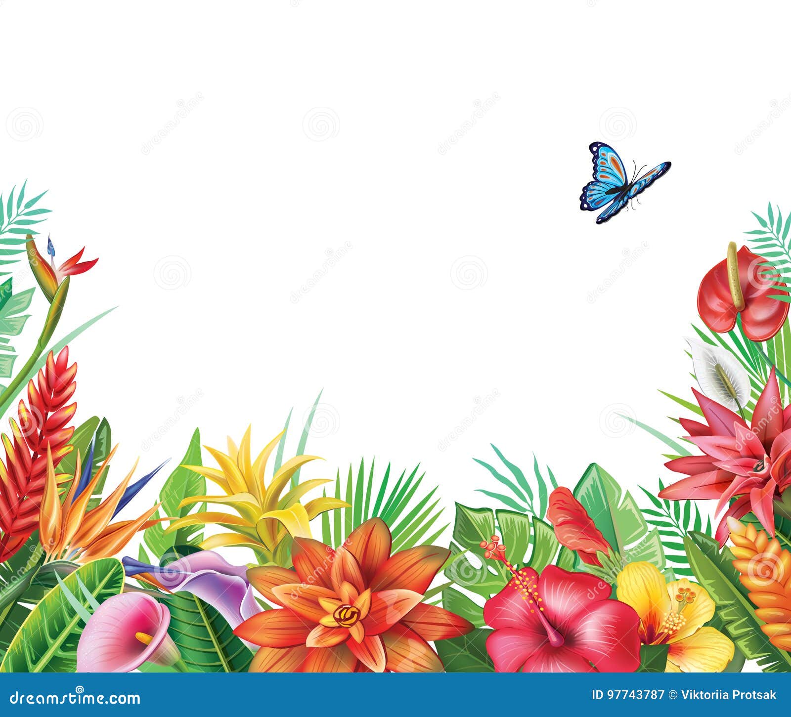 Frame from Tropical Flowers Stock Vector Illustration of season