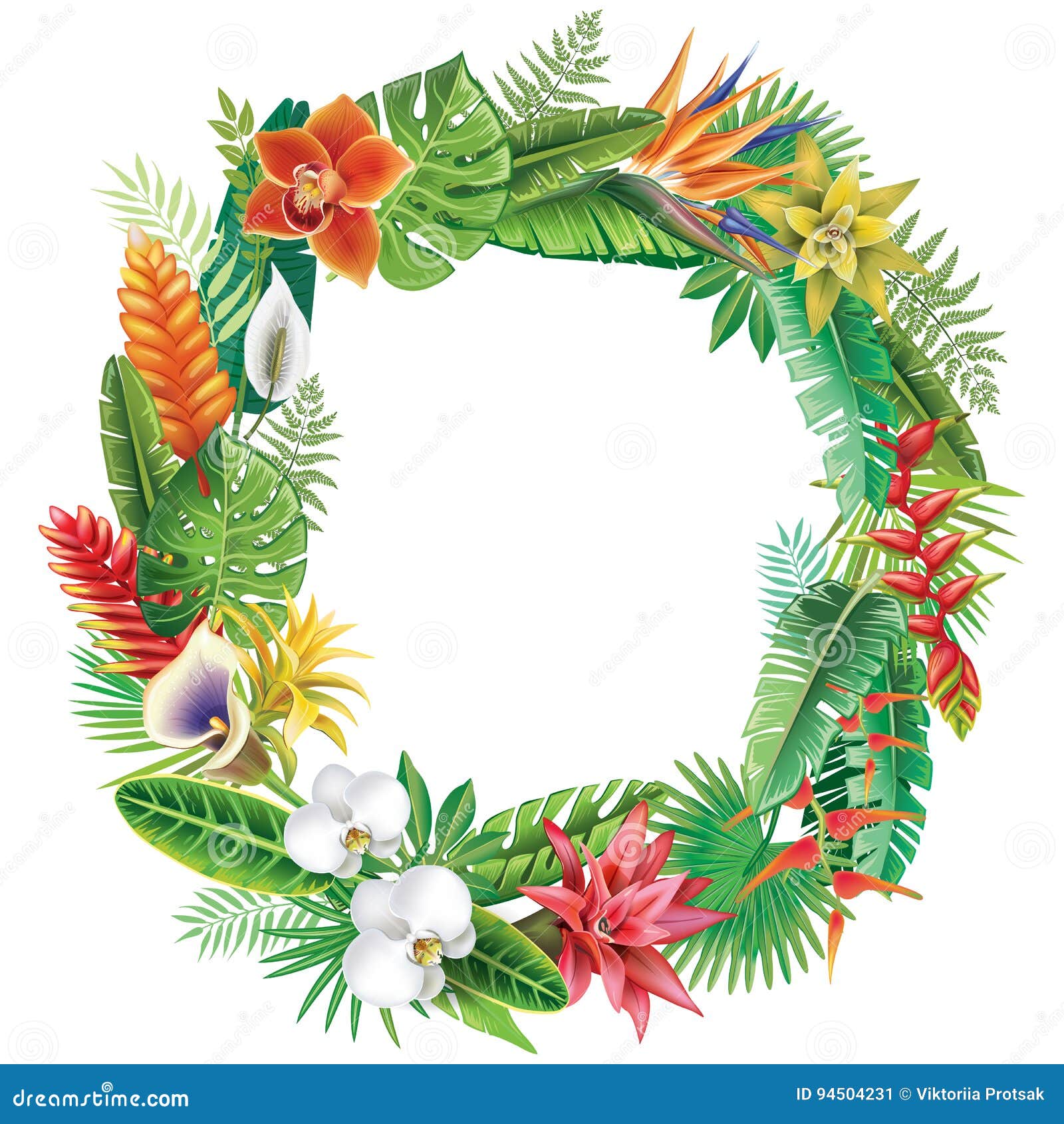 Frame from tropical plants stock vector. Illustration of design - 94504231