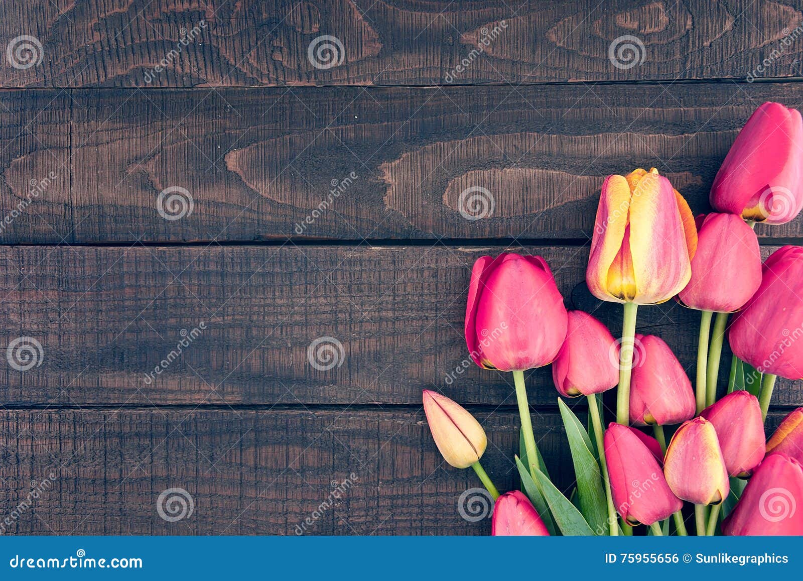 frame of tulips on dark rustic wooden background. spring flowers