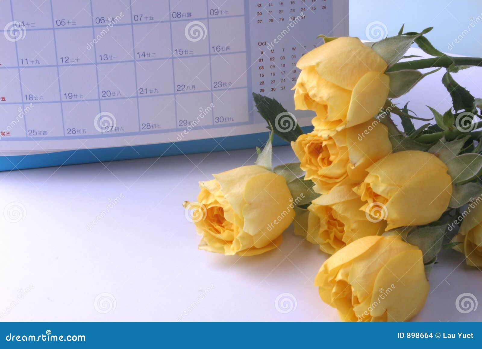 Frame Yellow Rose and Calendar Stock Photo Image of flower, organize