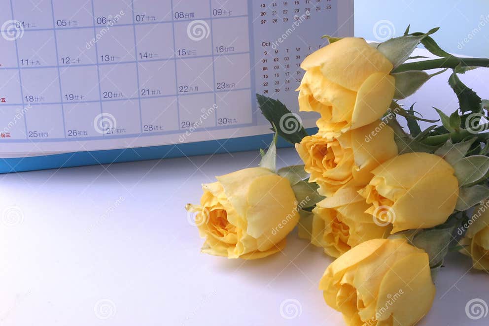 Frame Yellow Rose and Calendar Stock Photo Image of flower, organize