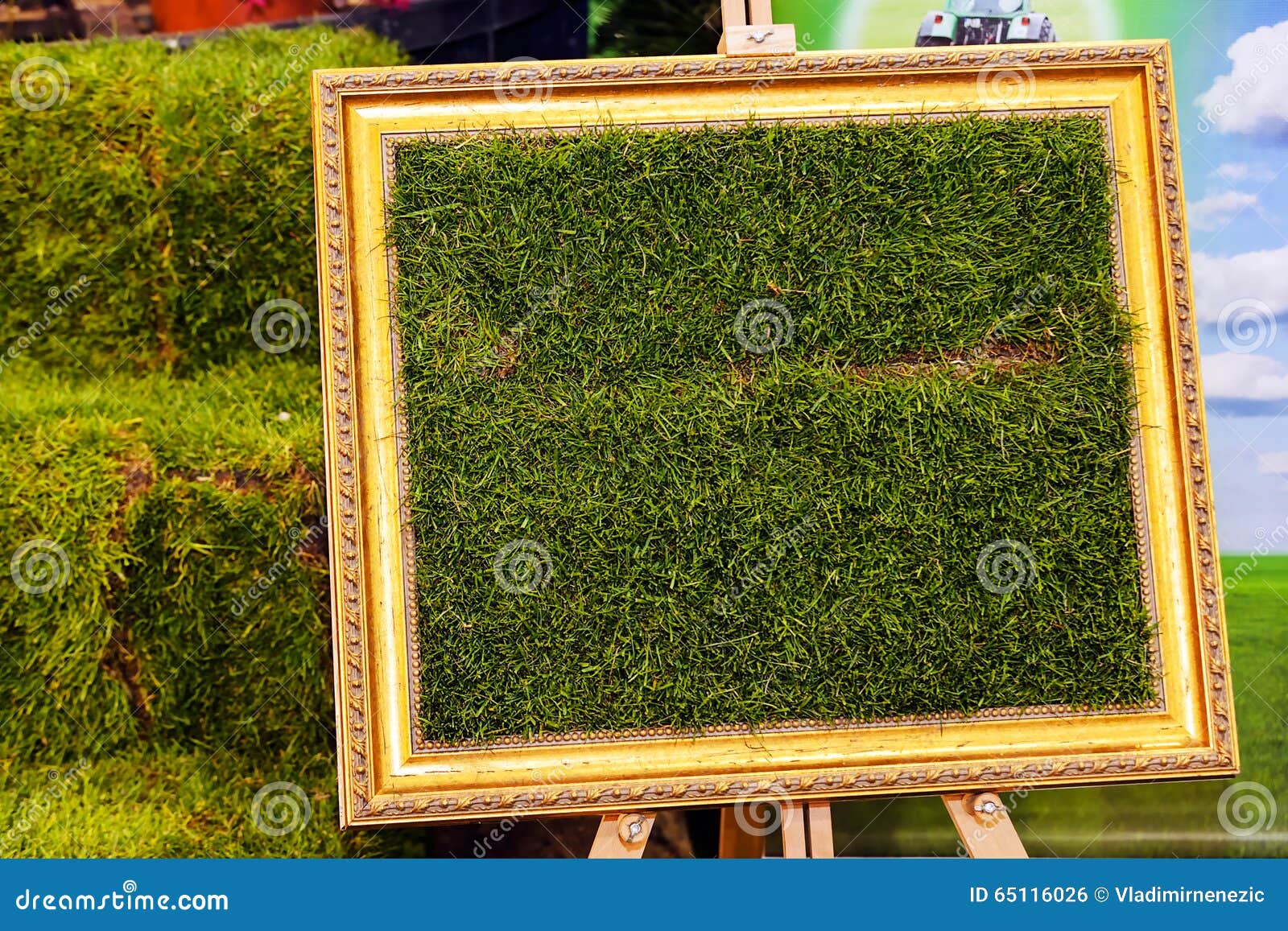 Framed grass stock photo. Image of foliage, bush, colorful 65116026
