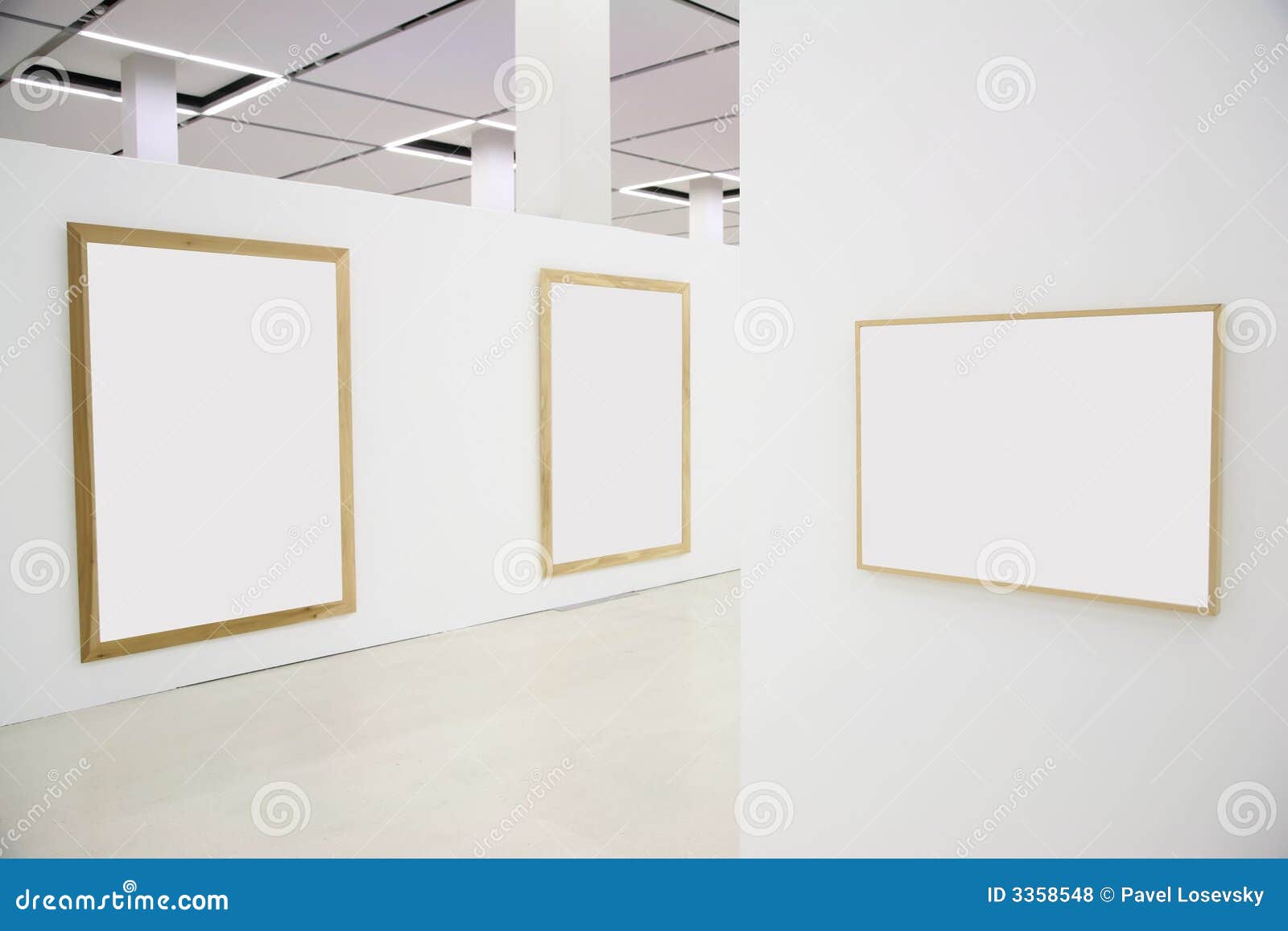 Frames in the hall 4 stock photo. Image of collection 3358548
