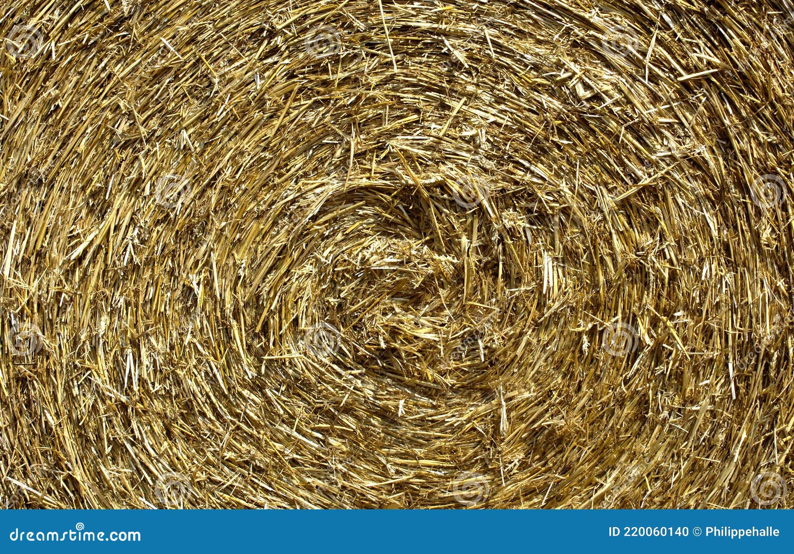 France, Bale of Straw in Normandie Stock Photo Image of outdoor