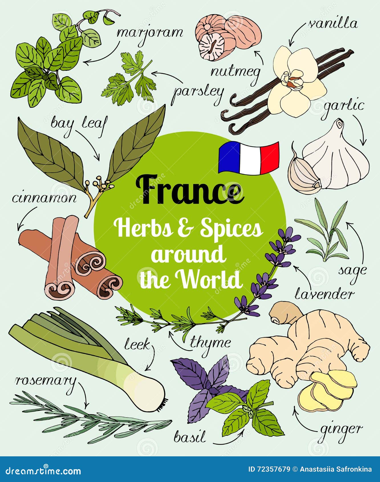 France herbs and spices. stock vector. Illustration of element 72357679
