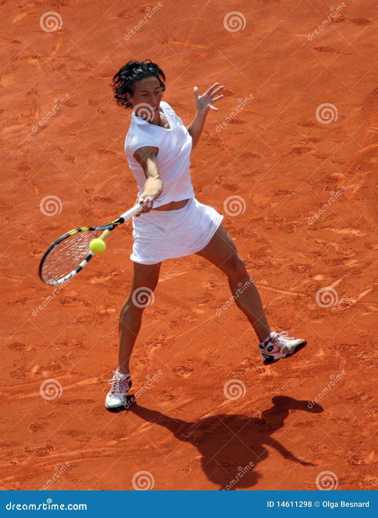 Francesca SCHIAVONE (ITA) at Roland Garros 2010. PARIS - JUNE 05: Francesca SCHIAVONE of Italy in action during the women s singles final match of the French Open at Roland Garros on June 5, 2010 in Paris, France.