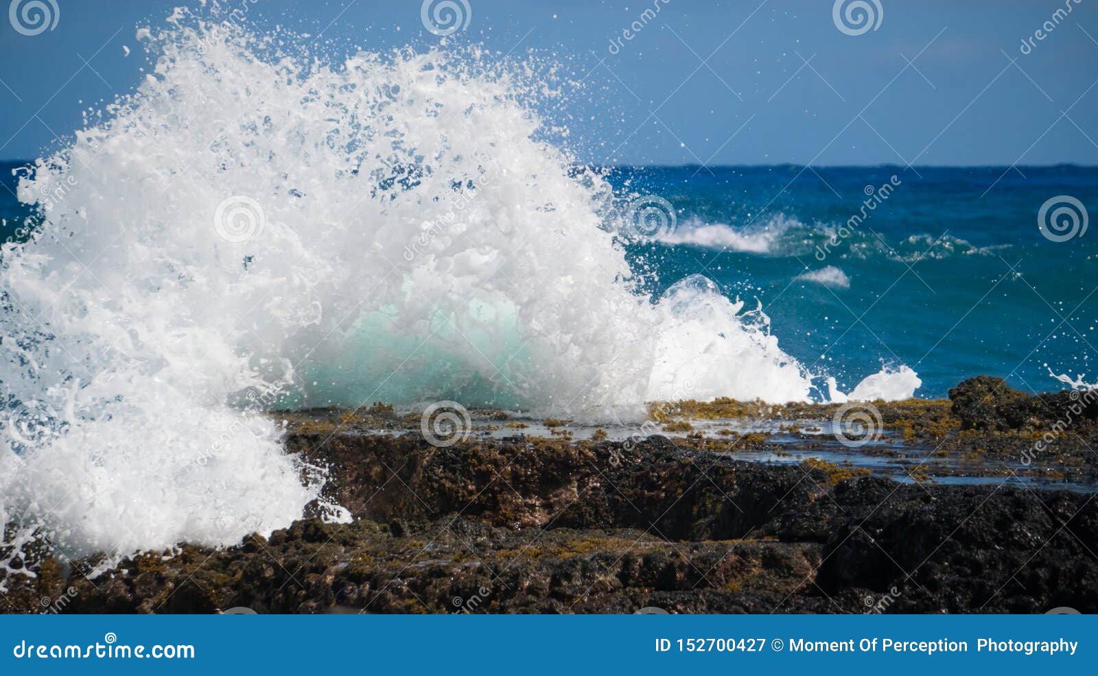 Frangiflutti del sud della riva di Oahu. Un'onda si schianta contro uno scaffale di corallo sulla riva del sud di Oahu, Hawai che inviano il volo dell'acqua