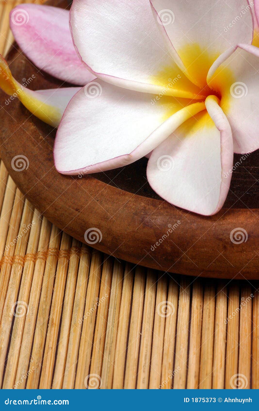 Frangipane Flower On The Rattan Background Stock Image Image of