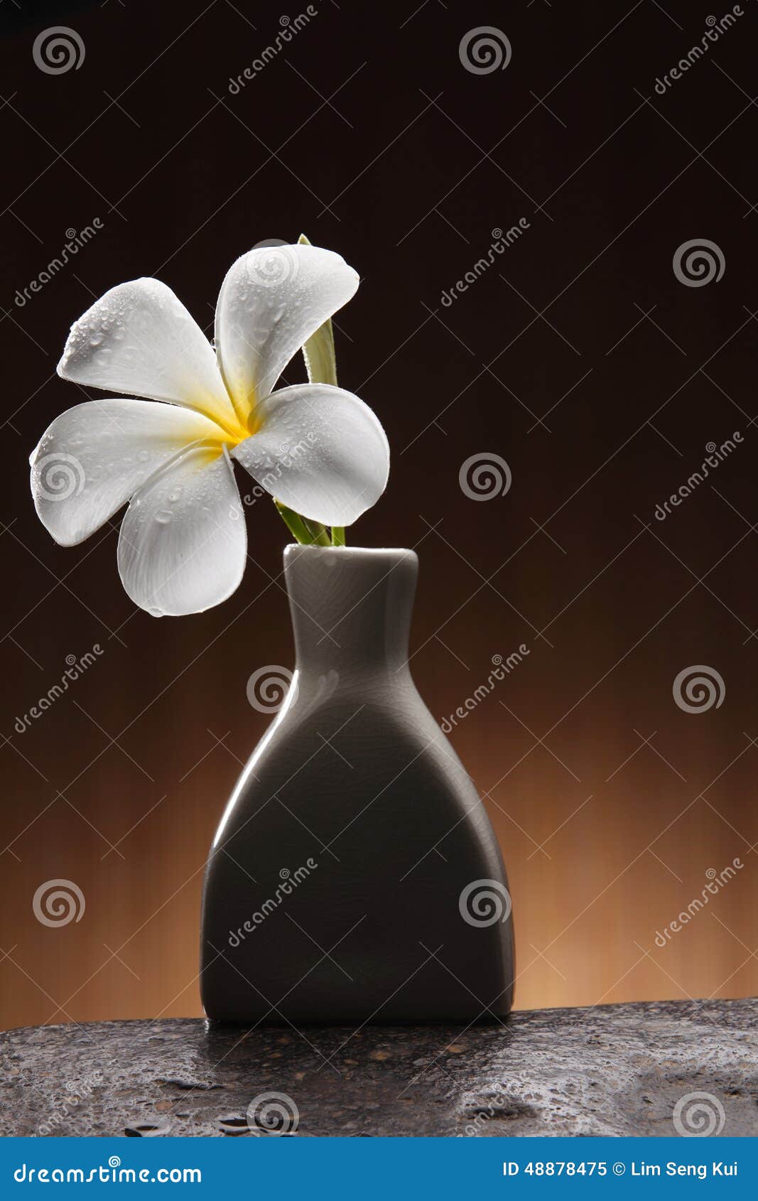 Frangipani stock image. Image of background, indulgence 48878475