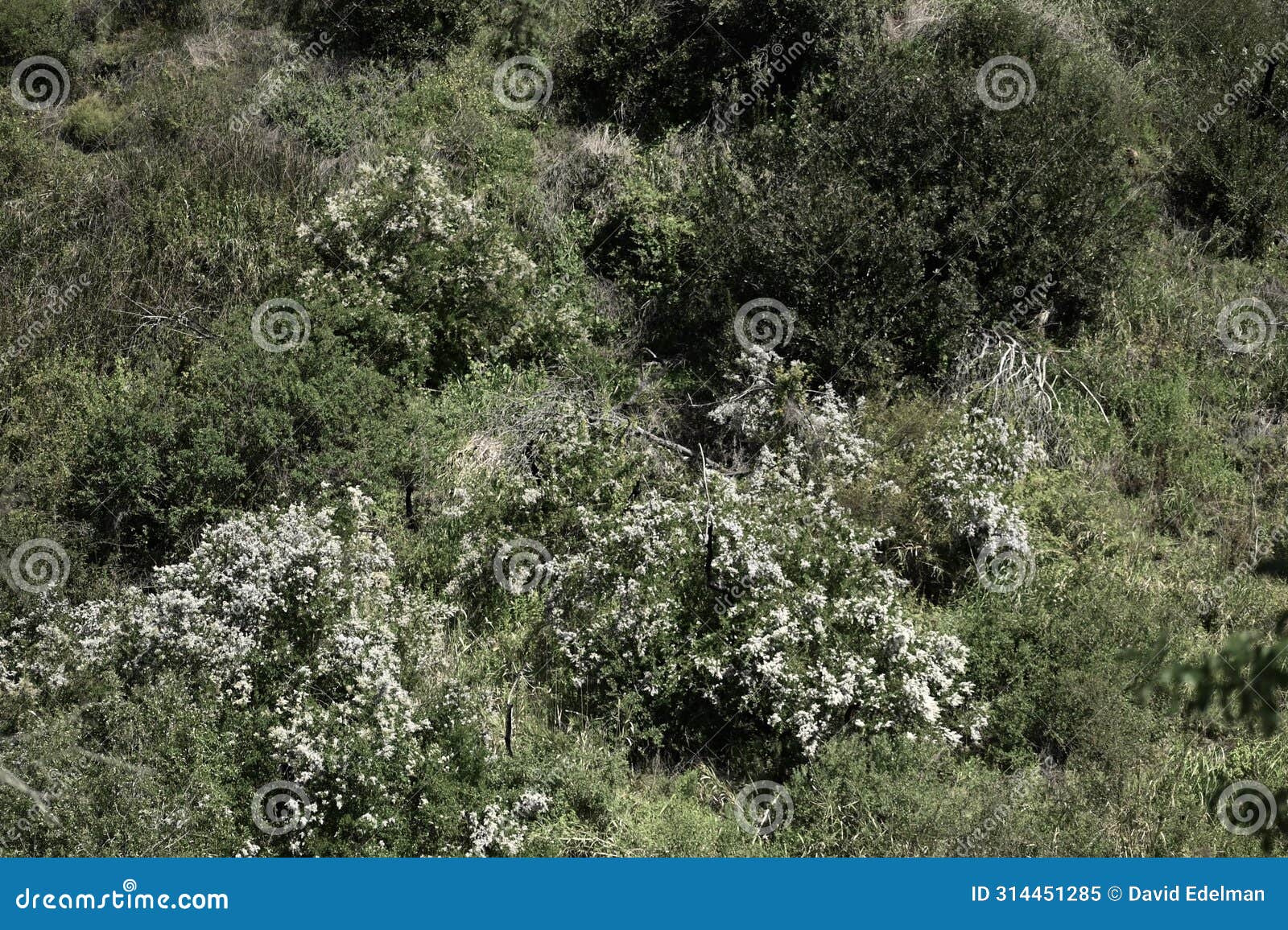 franklin trail carpinteria california 46