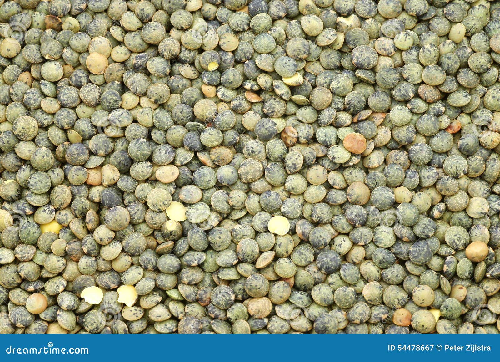 Französische Grüne Linsen (lentilles Du Puy) Stockbild - Bild von kochen,  landwirtschaft: 54478667