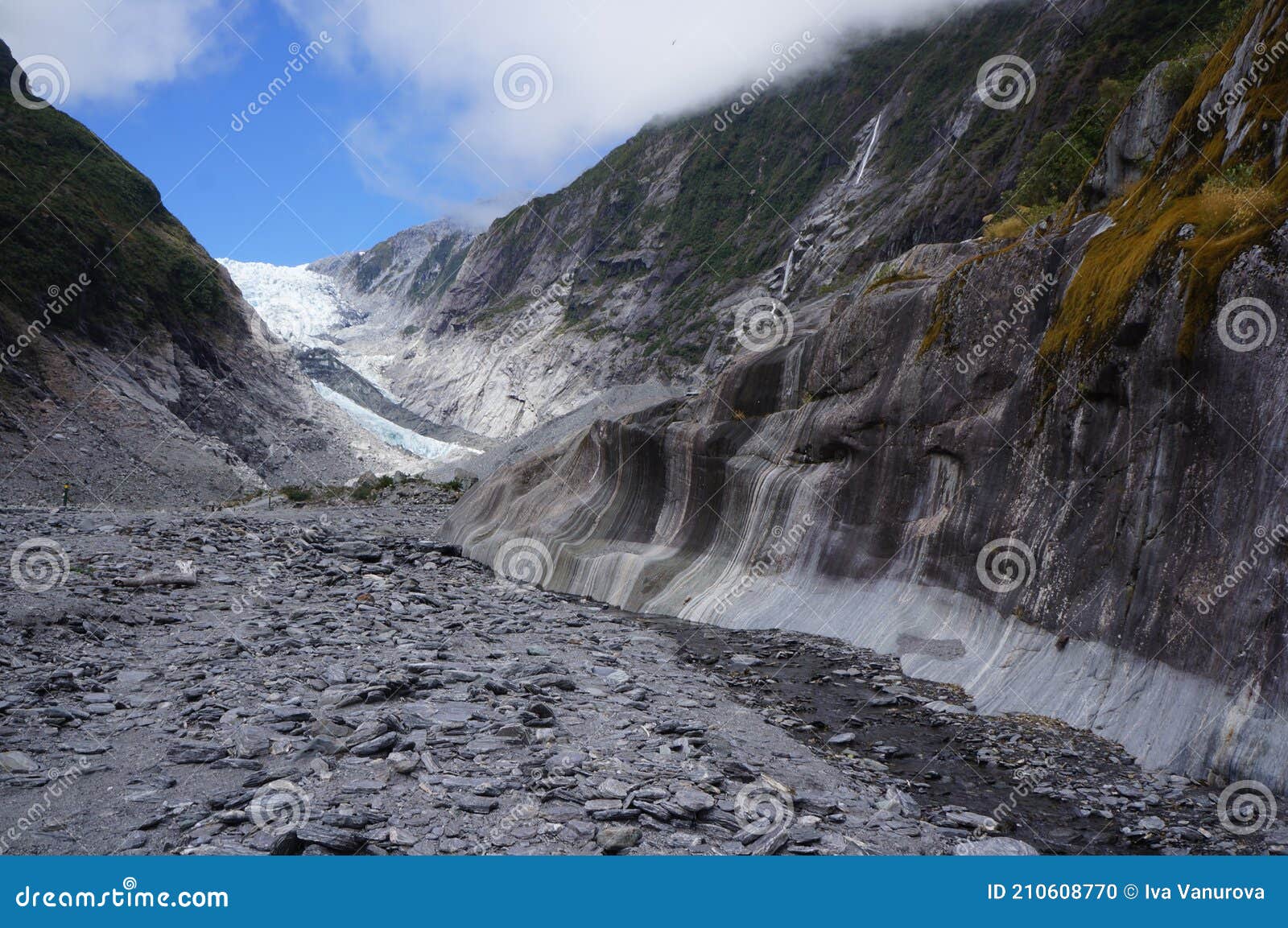 franz josef glacier in new zealand