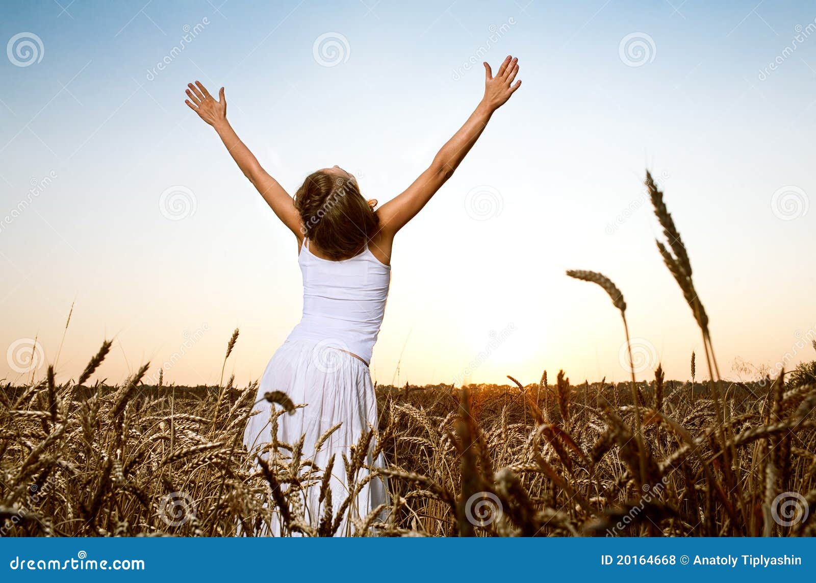 Frau auf dem Weizengebiet unter blauem Himmel