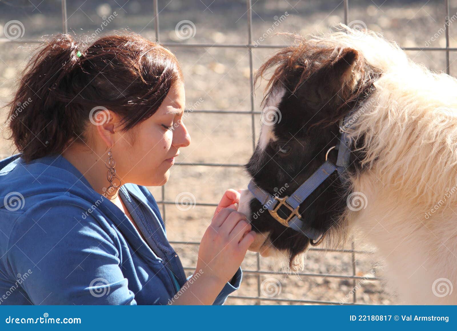 Frau, Die Ein Minipferd Petting Ist Stockbild Bild von obacht, pferd
