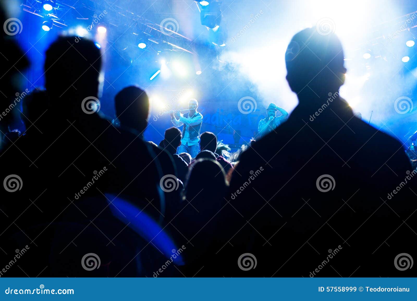 Frau, die Gesangschüssel und Gesang, in der purpurroten und blauen Beleuchtung spielt. Firkinirische Punkbandausführung Live an padina Fest 2015 mit Nebel und Lichtern für die erfasste Menge