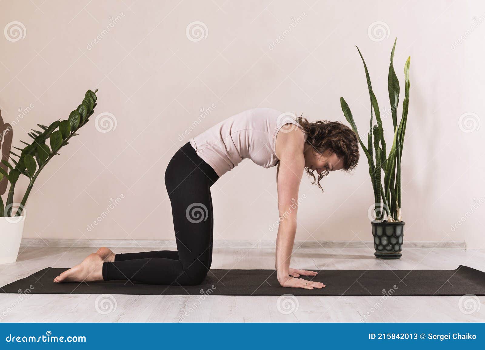 Frau In Sportbekleidung Yoga Praktizieren Stehen In Marjaryasana Asana Katze Pose Training Auf Einer Matte Zu Hause In Der Nahe D Stockbild Bild Von Blumen Schwarzes 215842013
