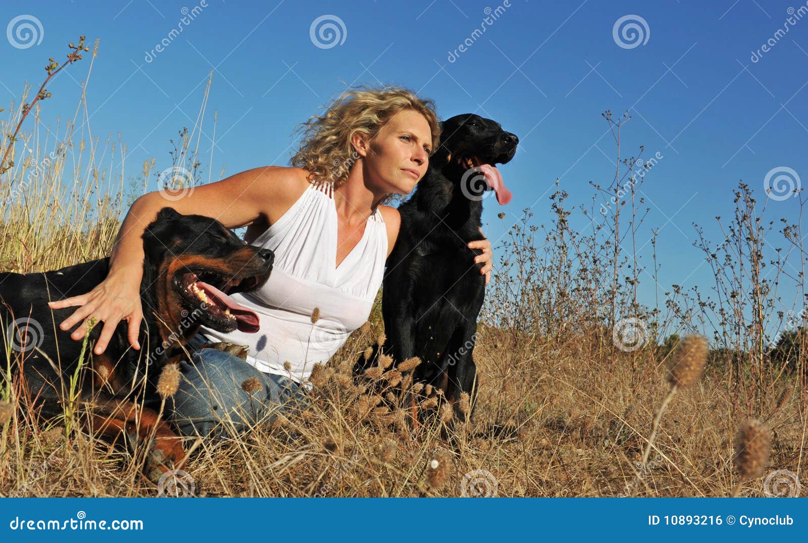 Frau und Hunde stockfoto. Bild von zwei, freund, weiß 10893216
