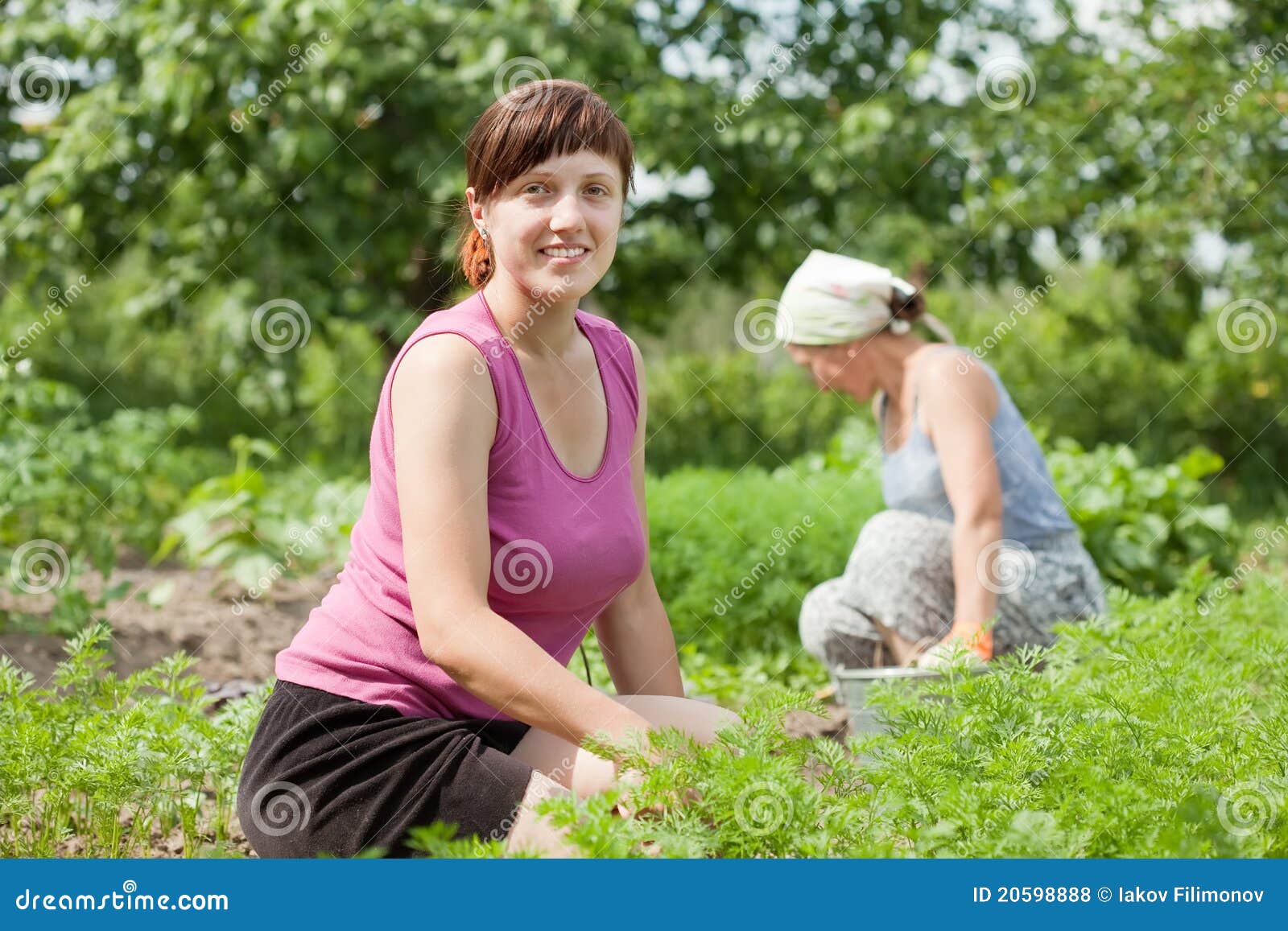 Тети хорошие видео. Женщина в огороде. Две женщины в огороде. Женщина трудится на огороде. Взрослые женщины в огороде.