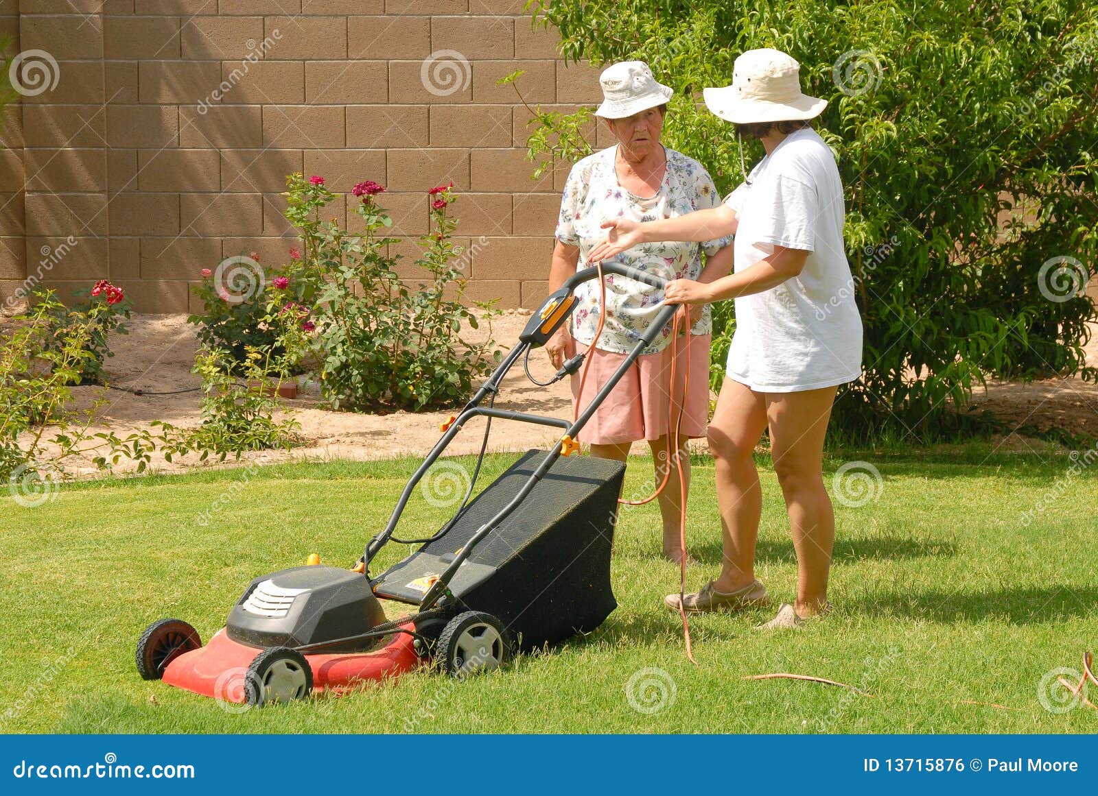 Frauen, die Rasen mähen stockfoto. Bild von arbeiter 13715876