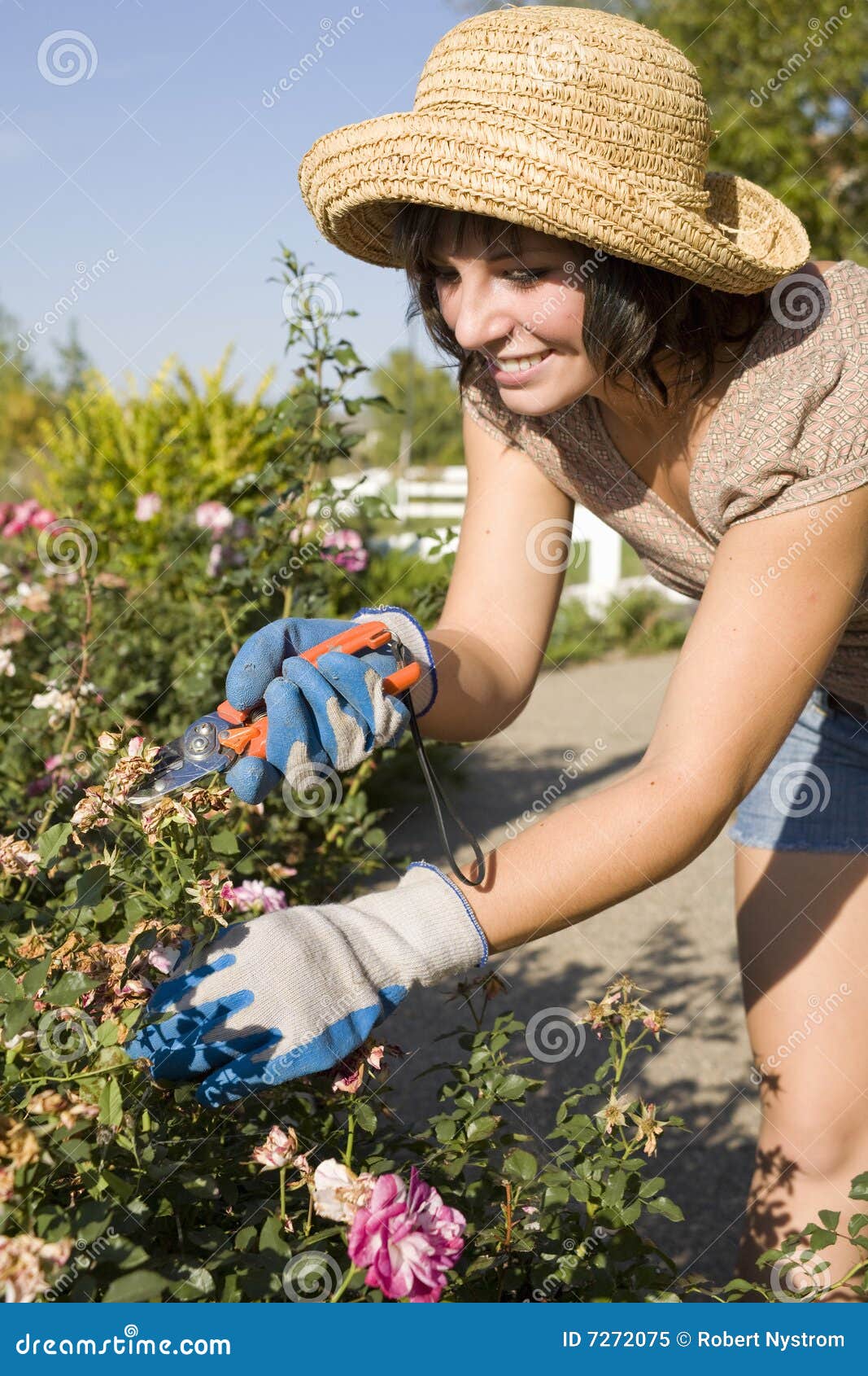 FrauenGartenarbeit stockbild. Bild von betrieb, fallen 7272075
