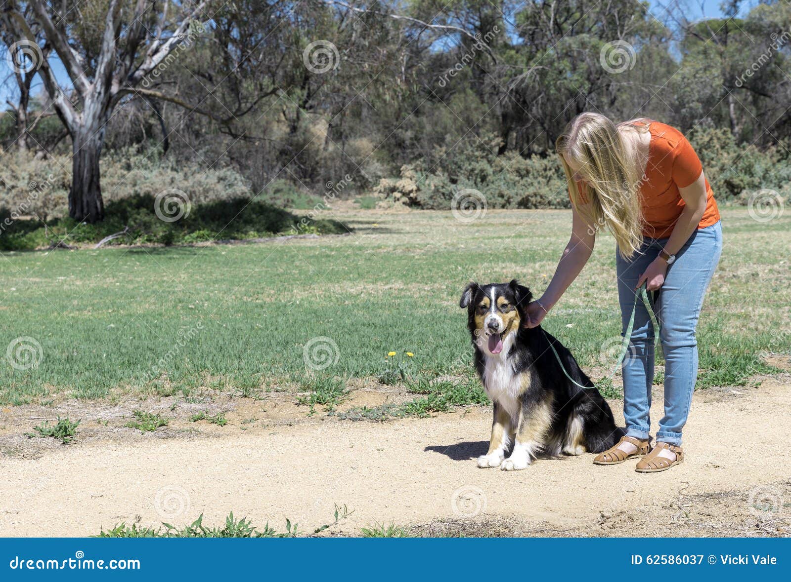 FrauenLiebkosungssitzender Hund Stockbild Bild von gras, bäume