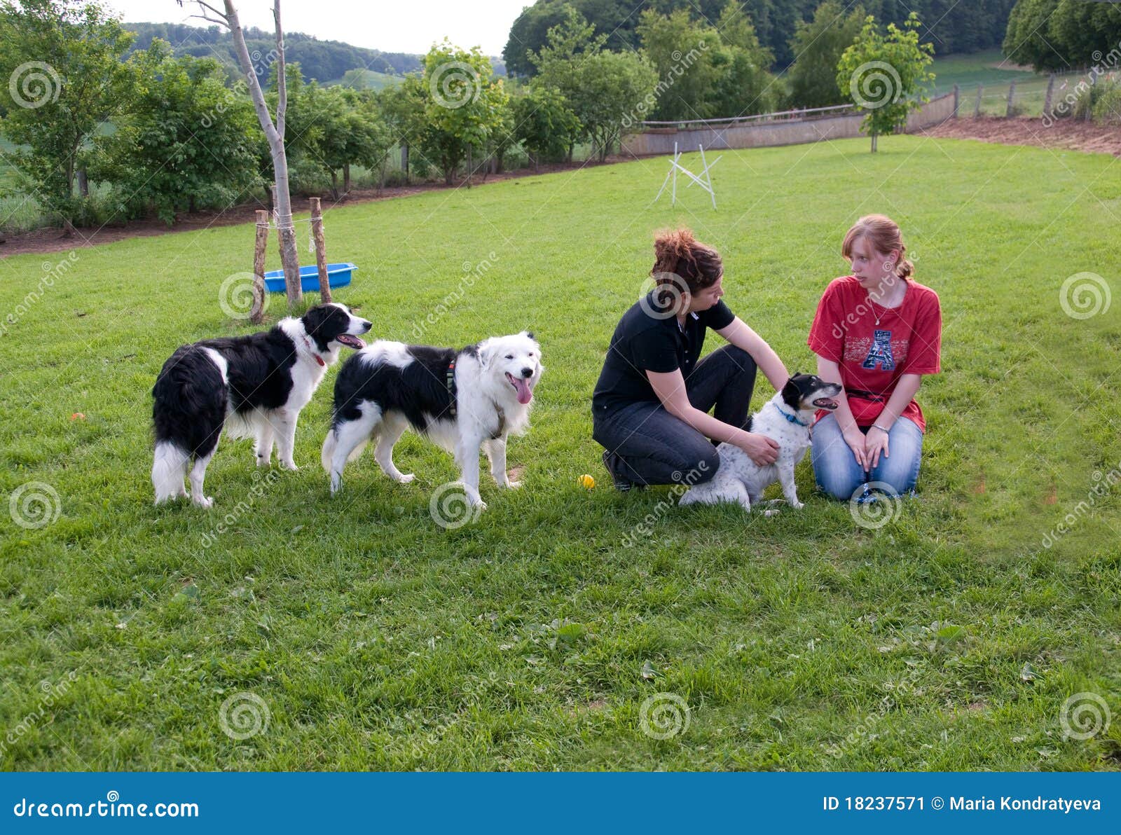 Frauen und Hunde. stockbild. Bild von rand, farbe, umfassen 18237571